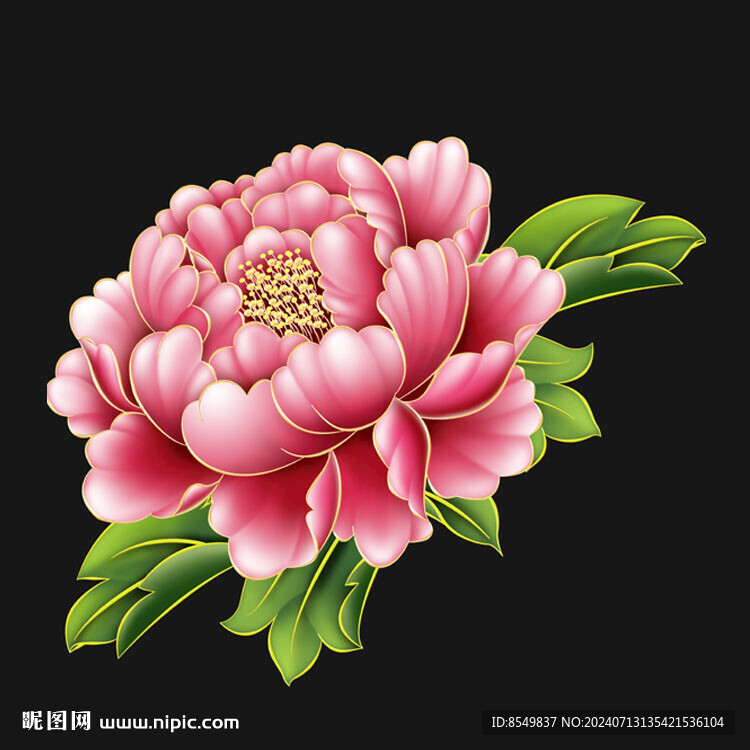 手繪牡丹花