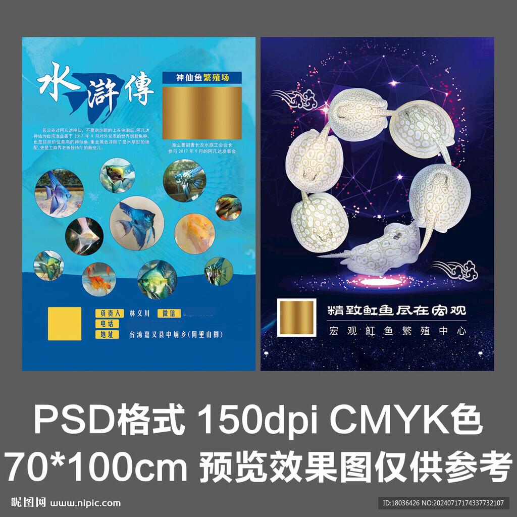 水族觀賞魚寵物海報(bào)展板