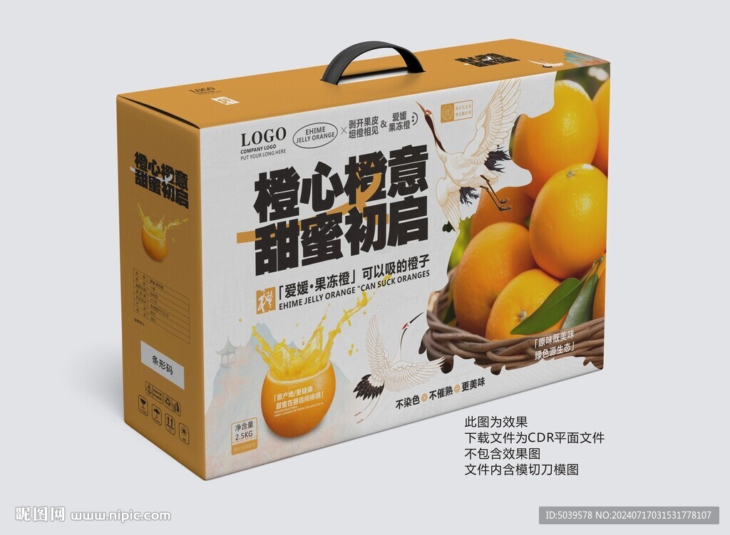 愛媛果凍橙手提禮盒