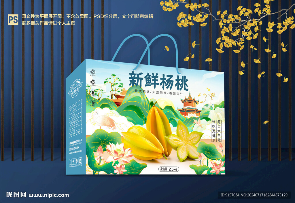 楊桃包裝 楊桃禮盒