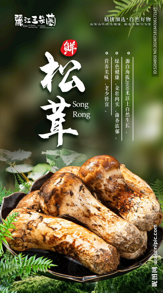松茸海報