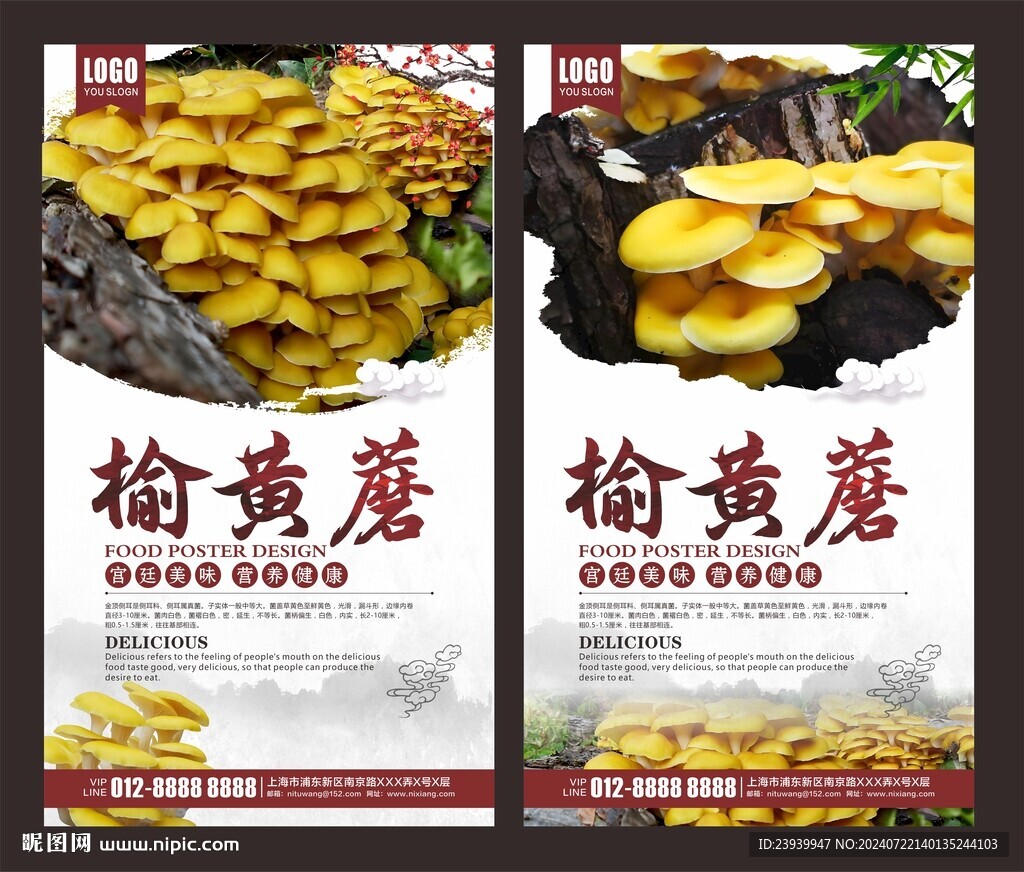 榆黃蘑