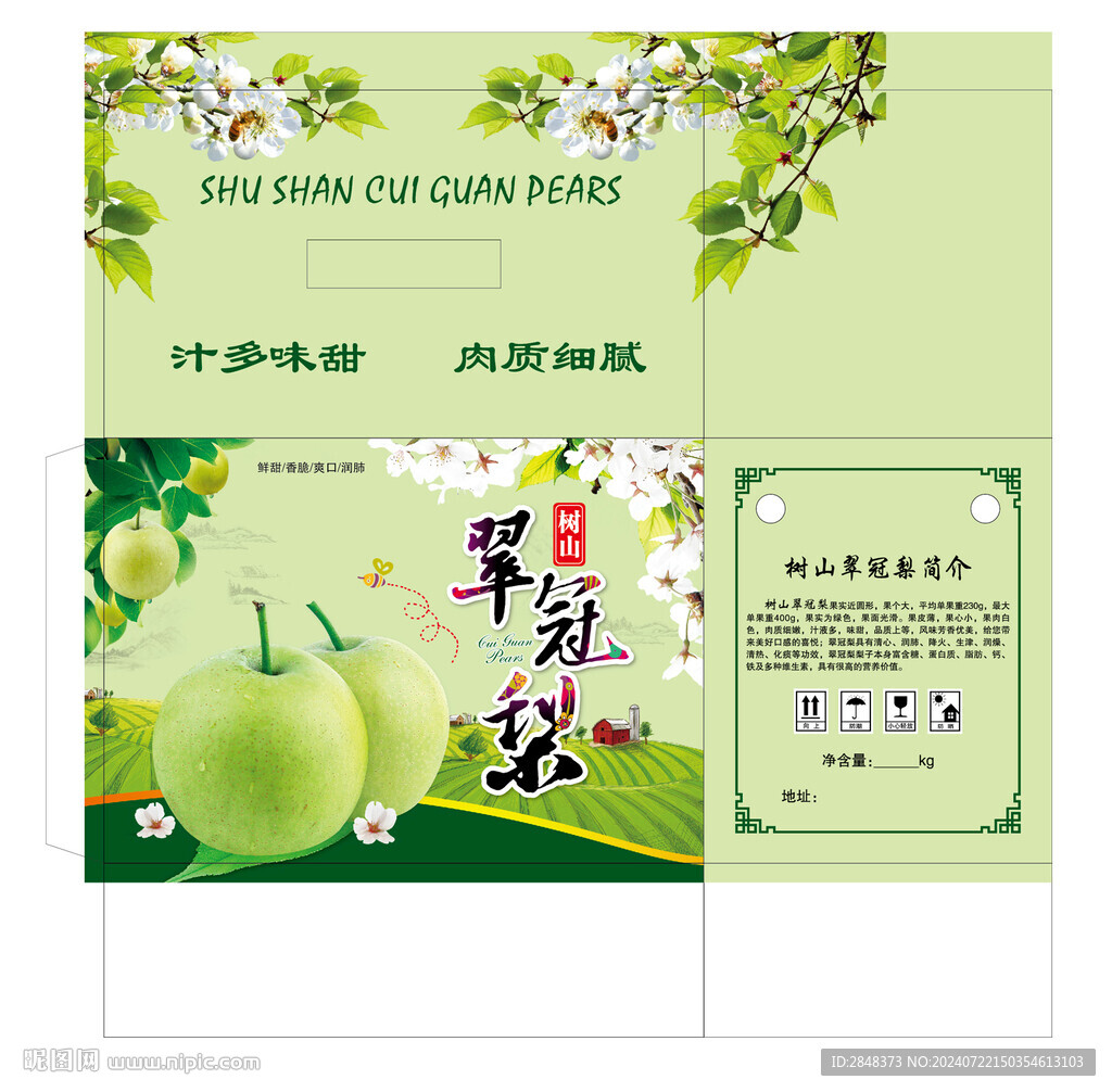 樹山翠冠梨平面展開圖