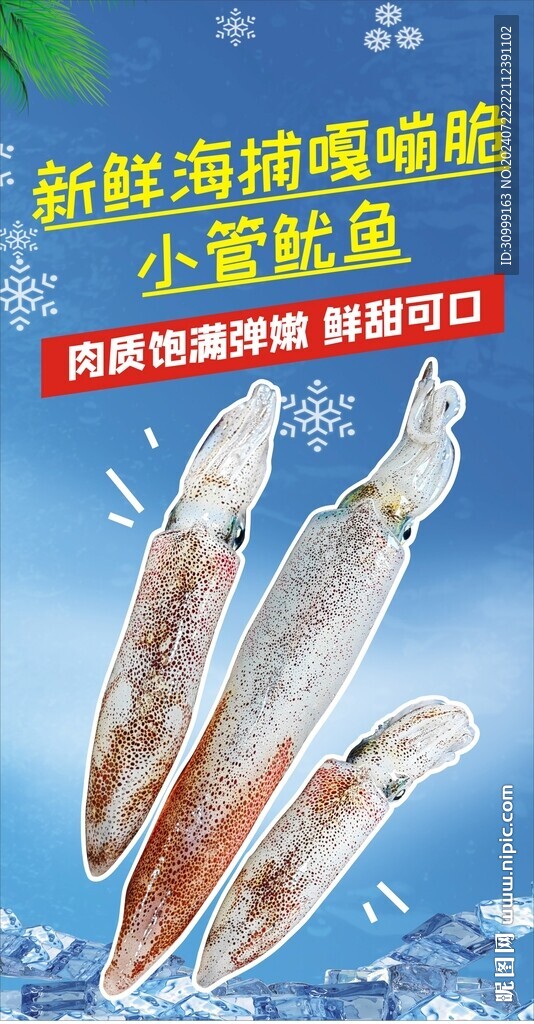 小管魷魚