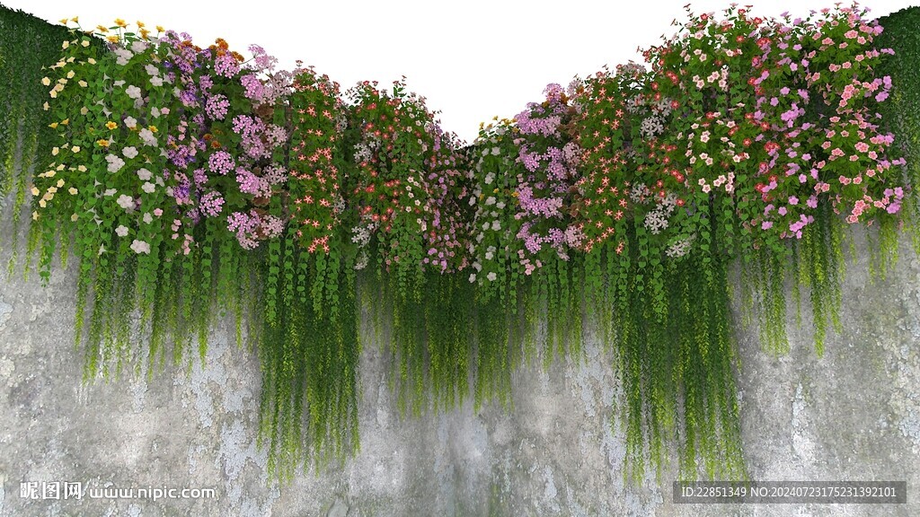 綠植花墻