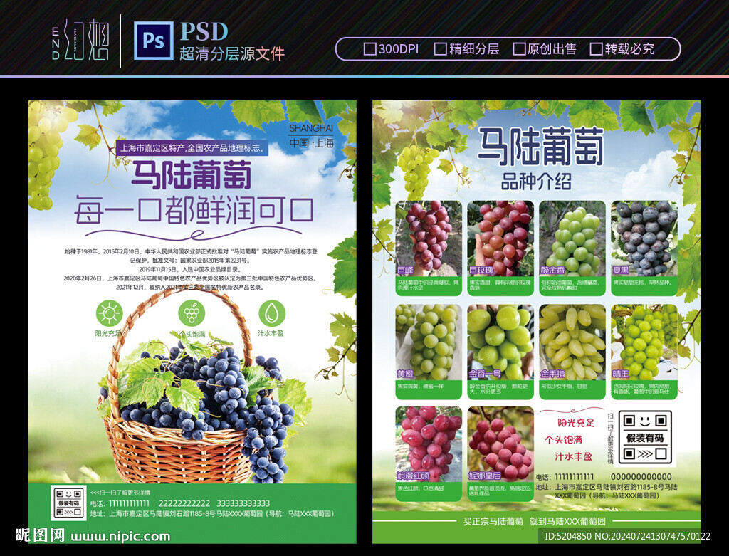 葡萄品種宣傳單