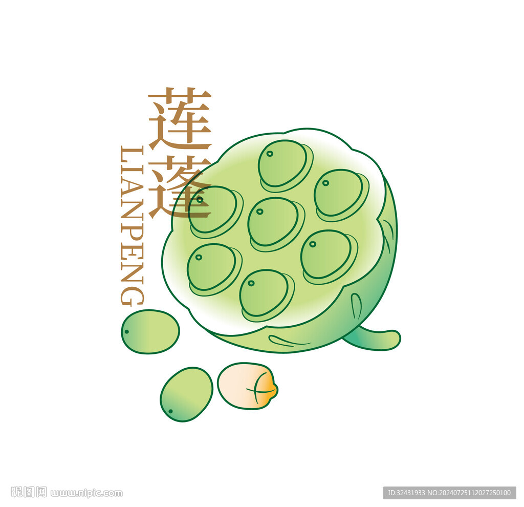 蓮蓬