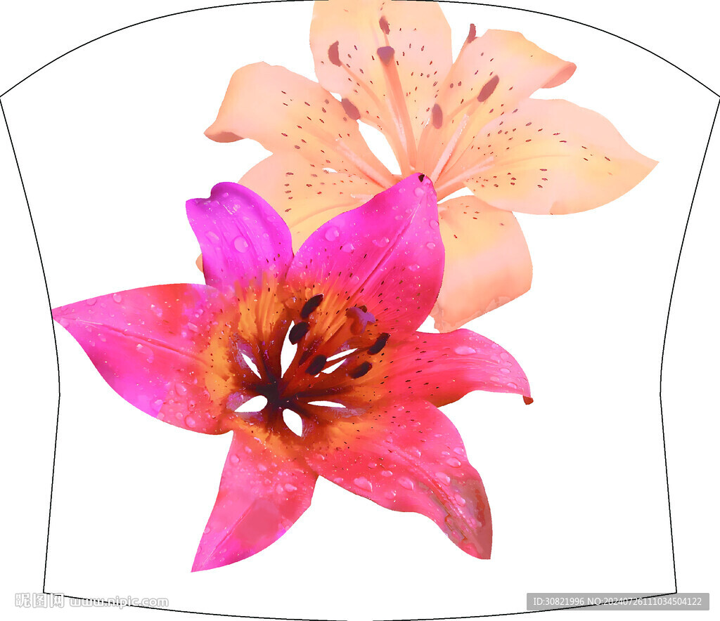 百合花