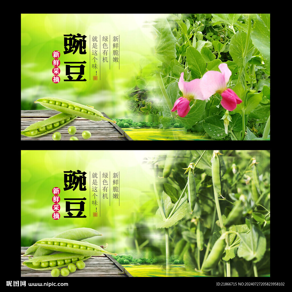 豌豆