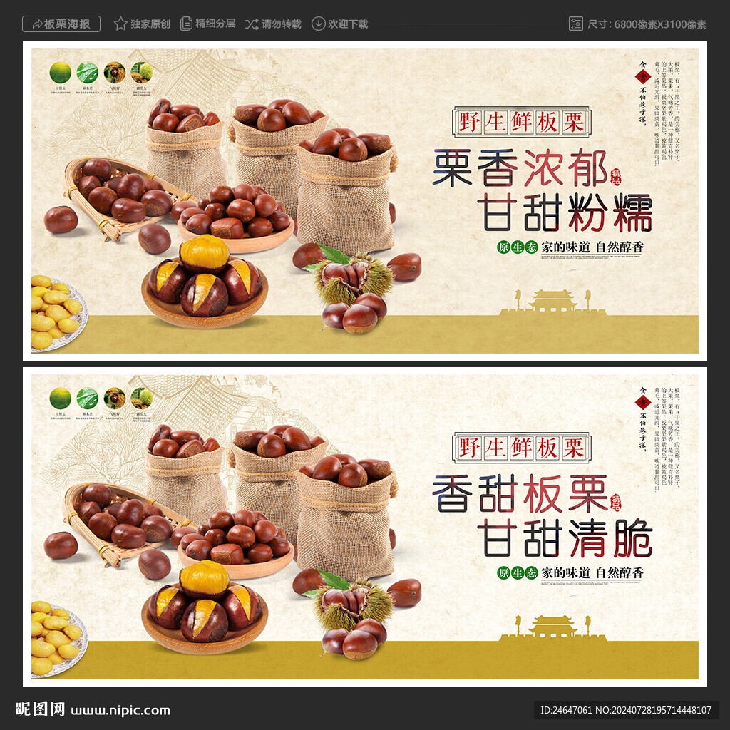 板栗