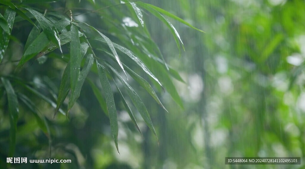 雨中風景