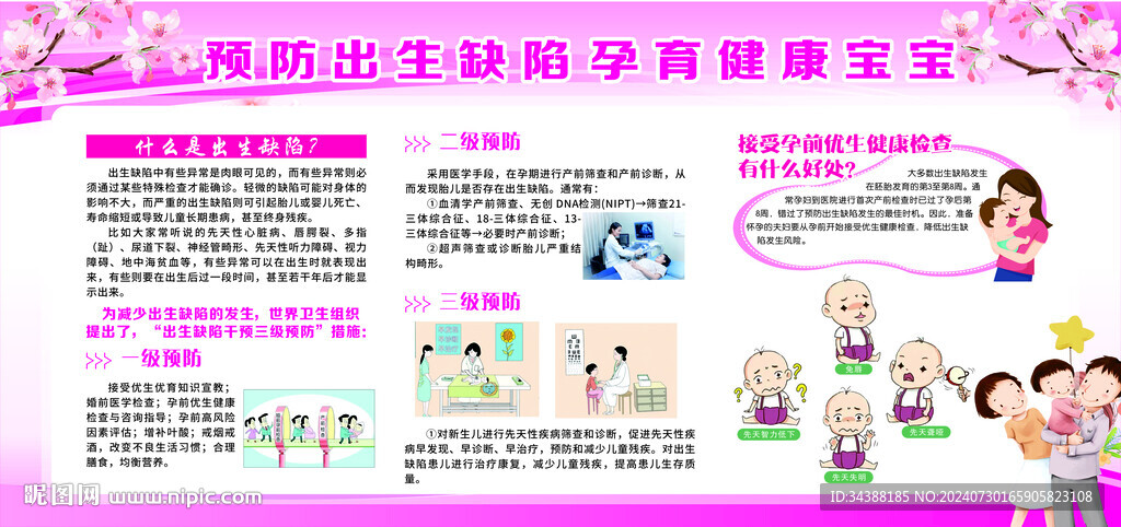 預(yù)防出生缺陷宣傳欄