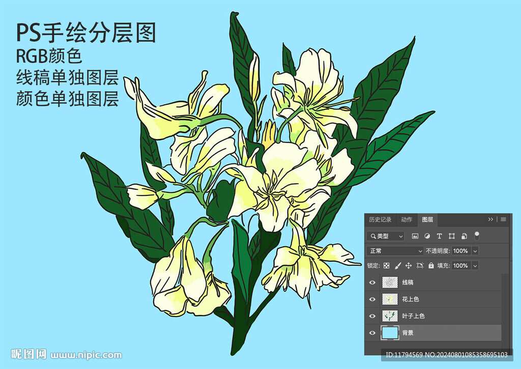 姜花手繪版線稿分層