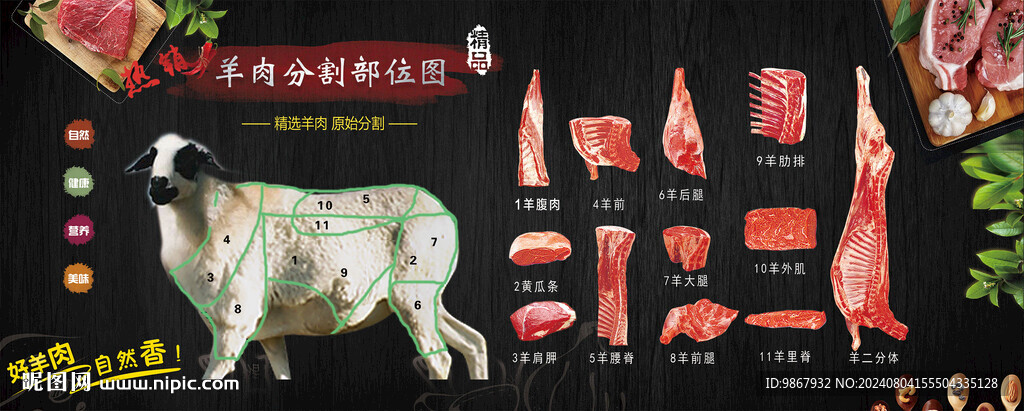 羊肉分割圖