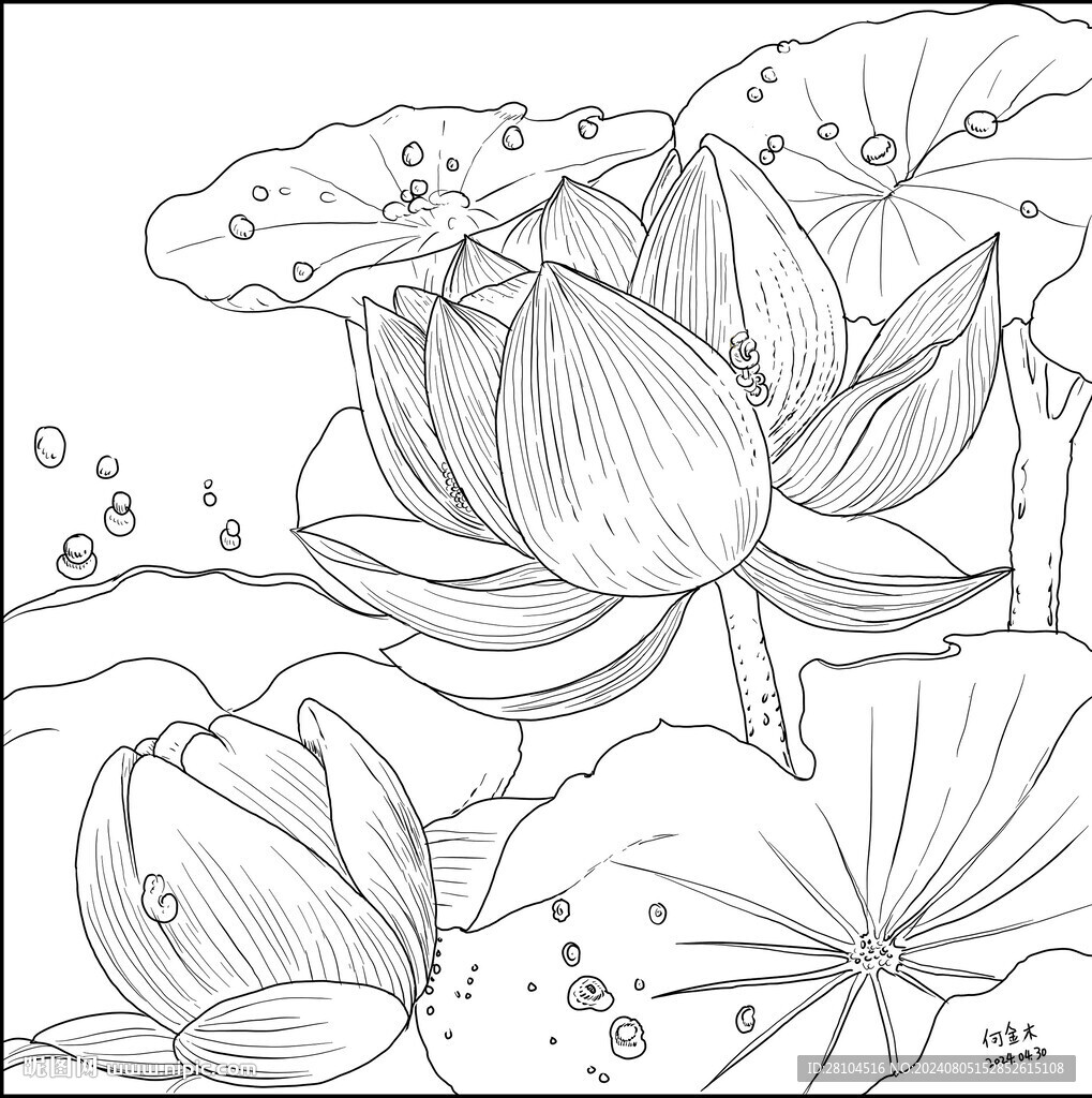 白描荷花