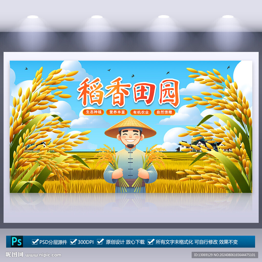 水稻