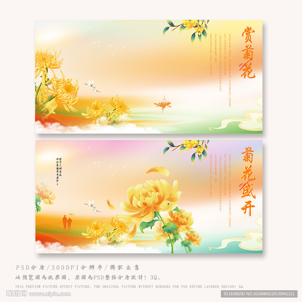 賞菊花