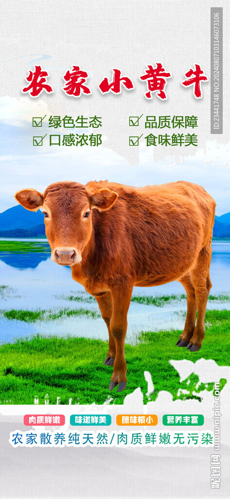 黃牛
