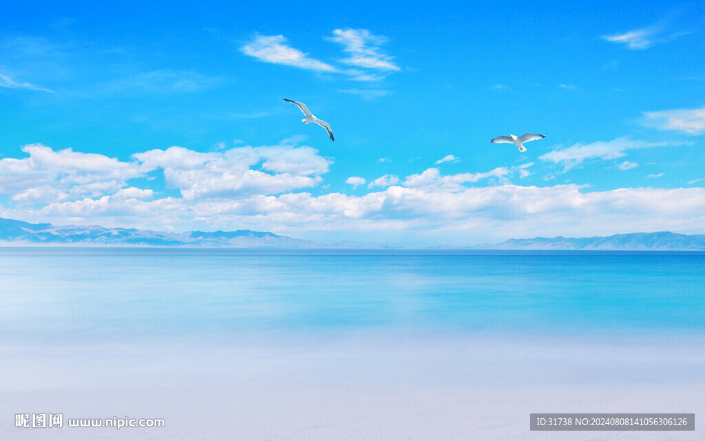 大海背景墻