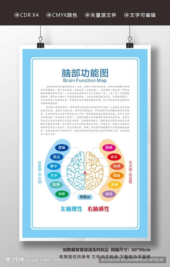 矢量腦部功能圖 心理掛圖