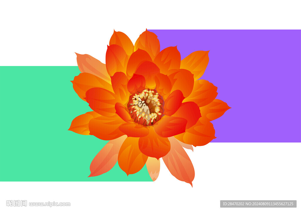 花卉