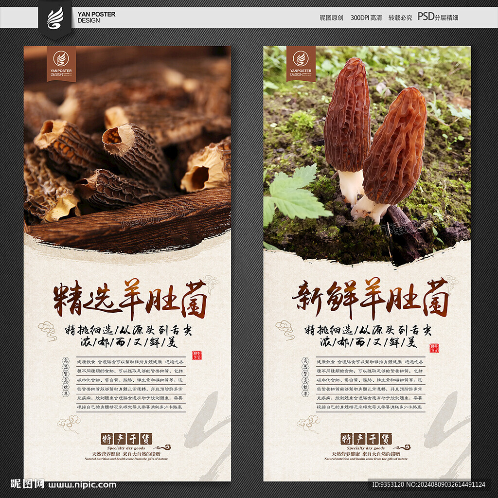 羊肚菌
