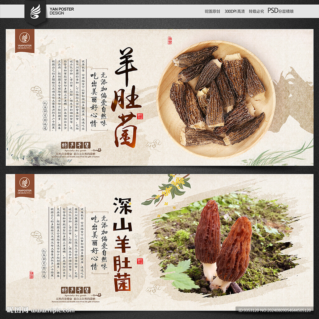 羊肚菌