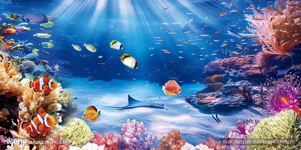 海底世界