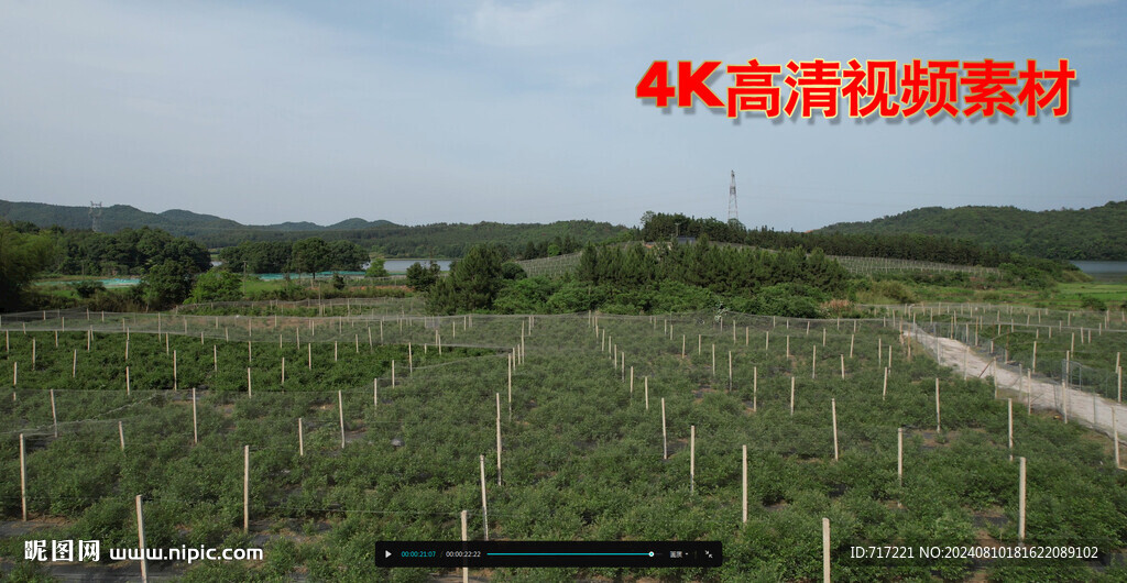 航拍農(nóng)村產(chǎn)業(yè)