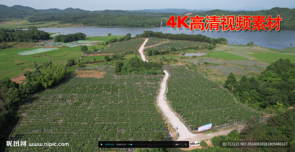 藍莓基地航拍
