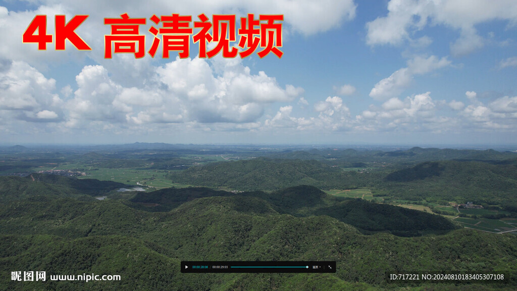  藍莓果園
