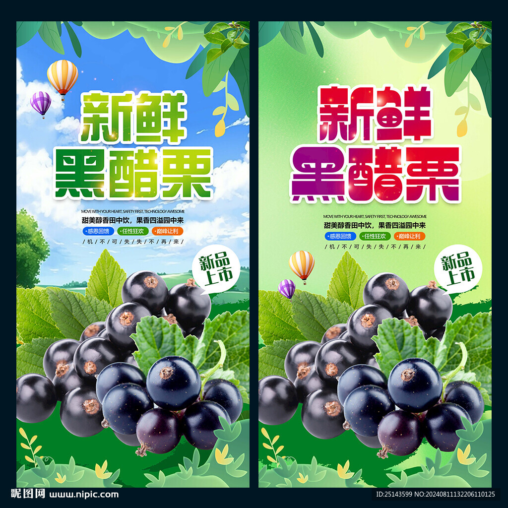 黑醋栗