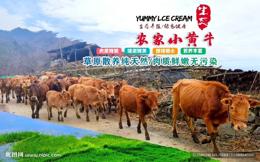 黃牛