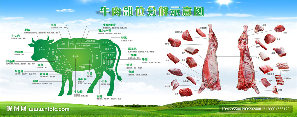 牛肉分割圖