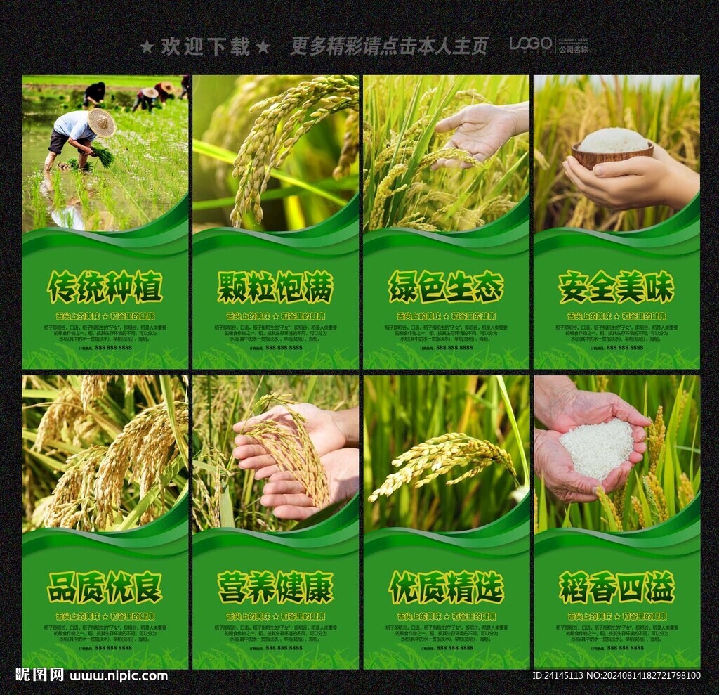 水稻
