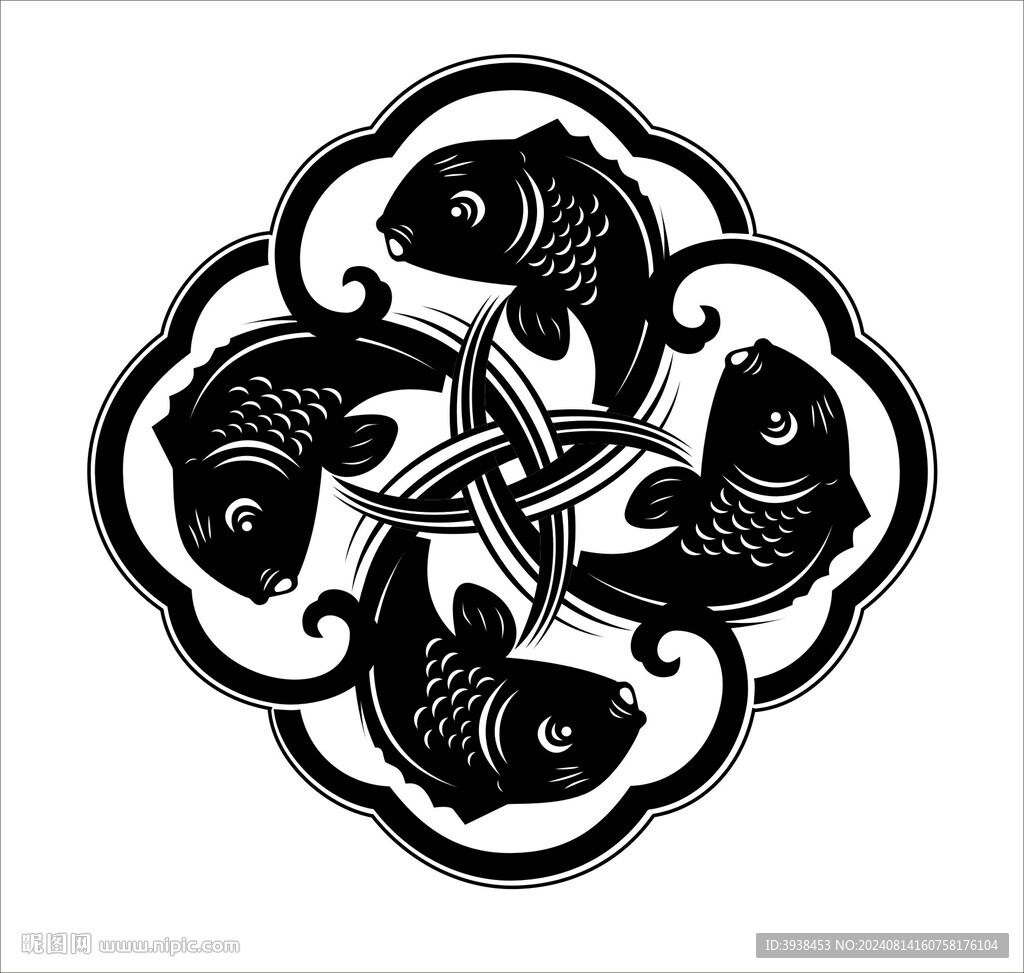 金魚  魚紋 對稱