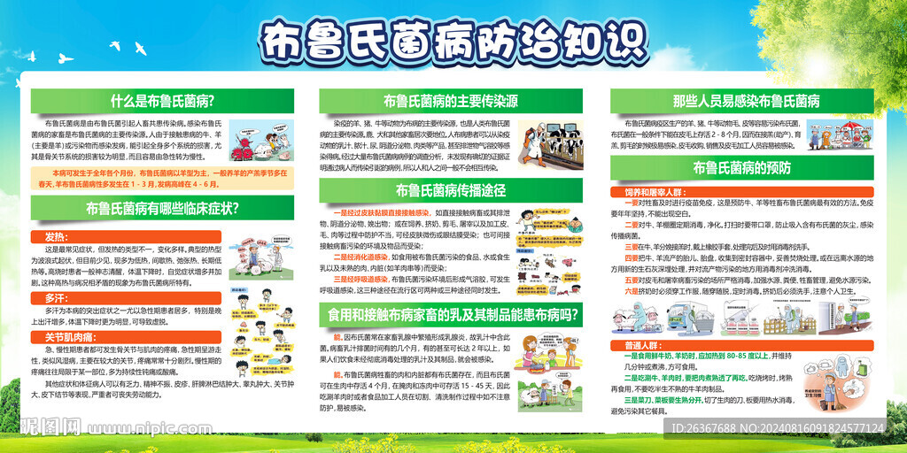 布魯氏
