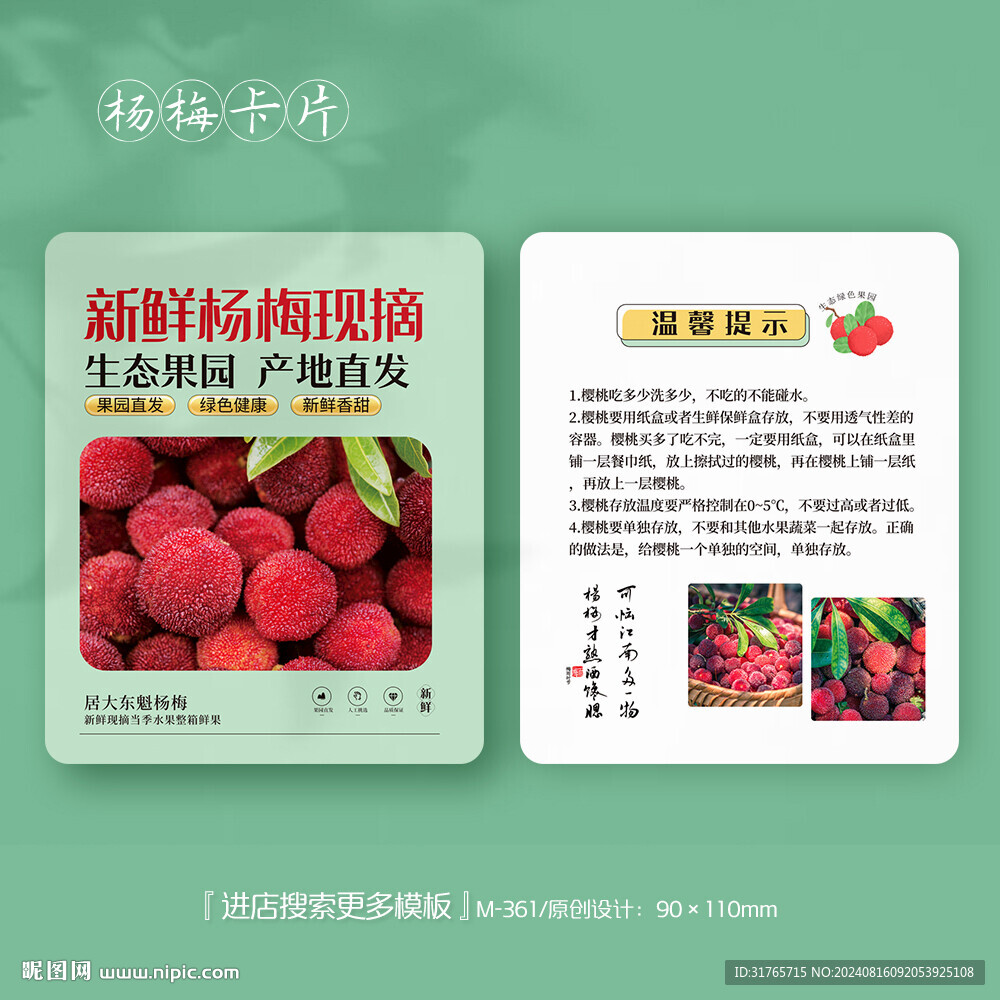 水果楊梅介紹卡簡介卡片