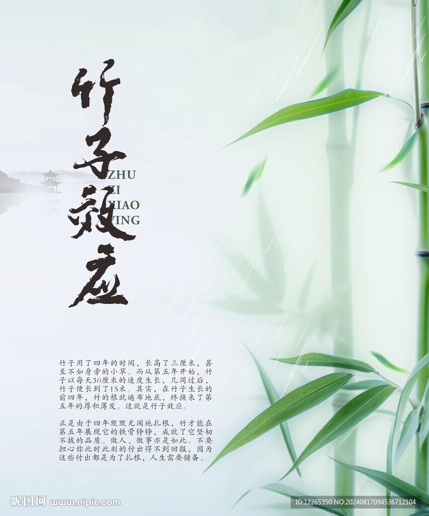 竹子效應