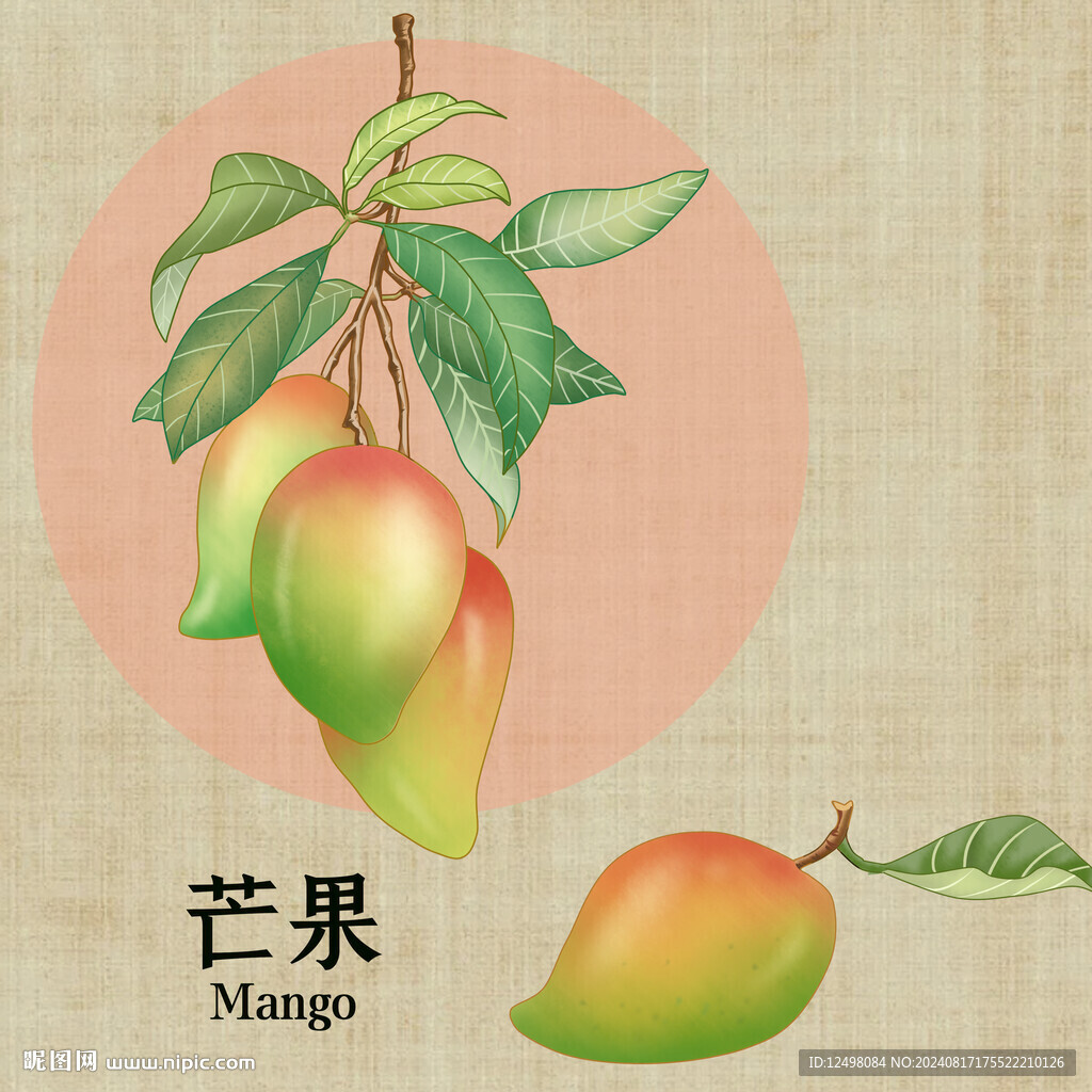 手繪芒果