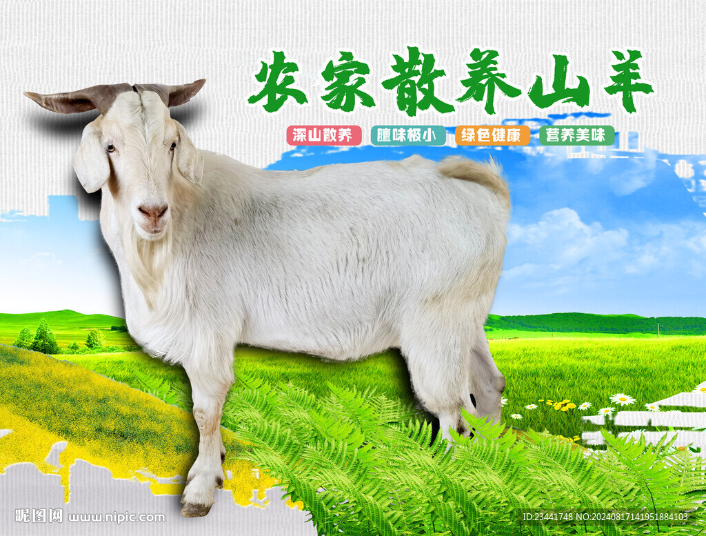 山羊