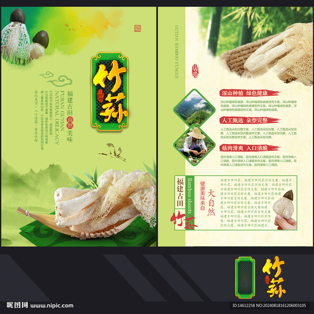 竹蓀