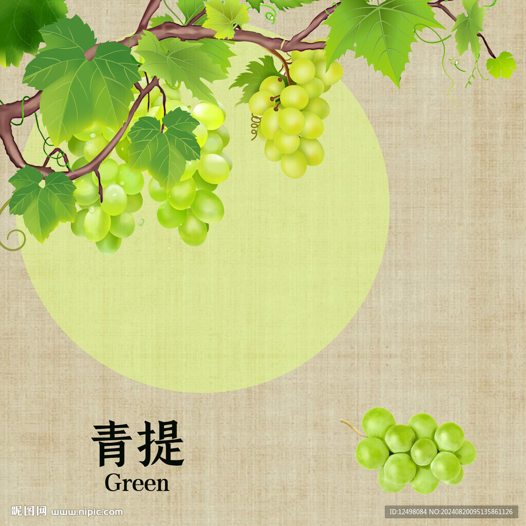 手繪青提