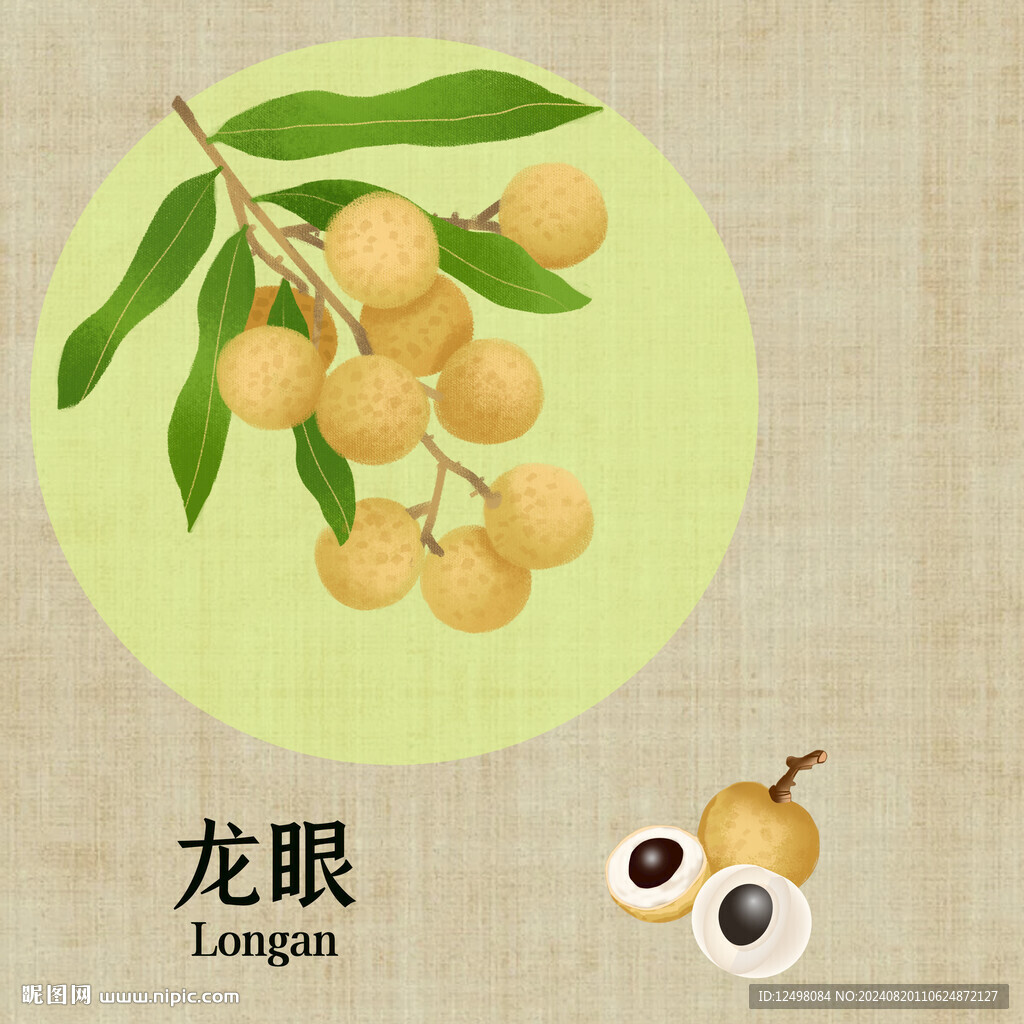 手繪龍眼