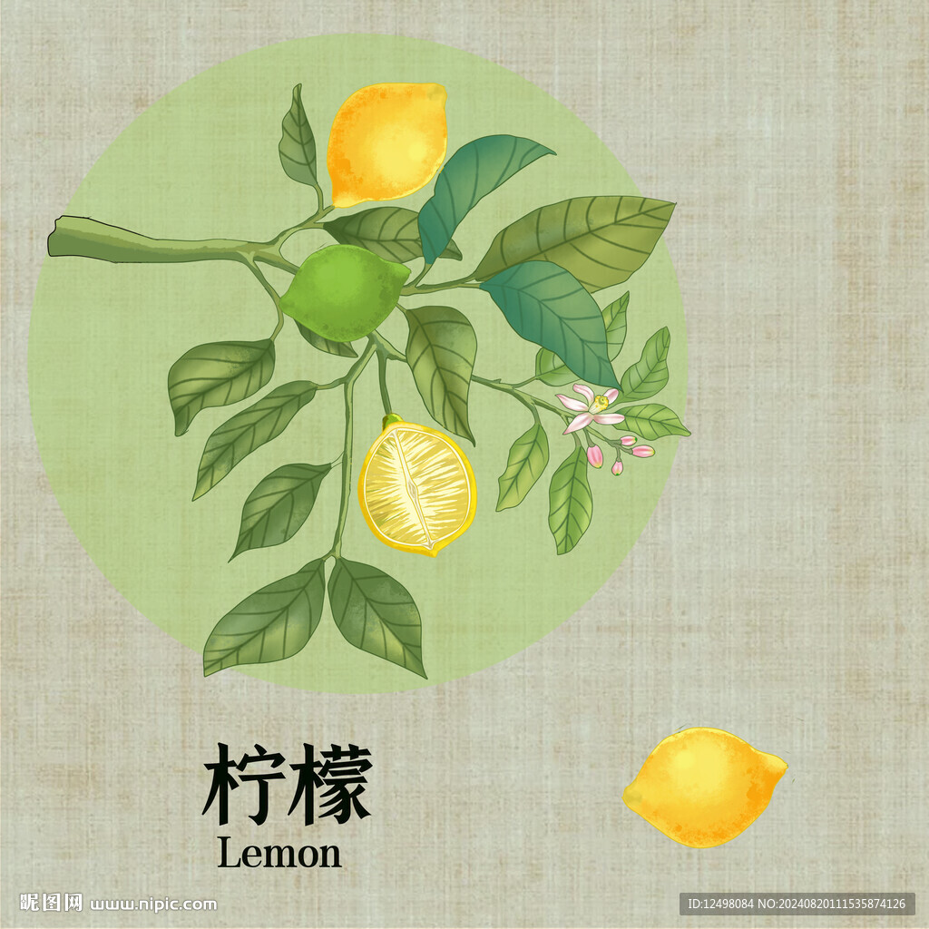 手繪檸檬