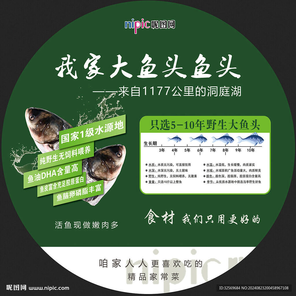 餐廳魚頭圓地貼設(shè)計(jì)