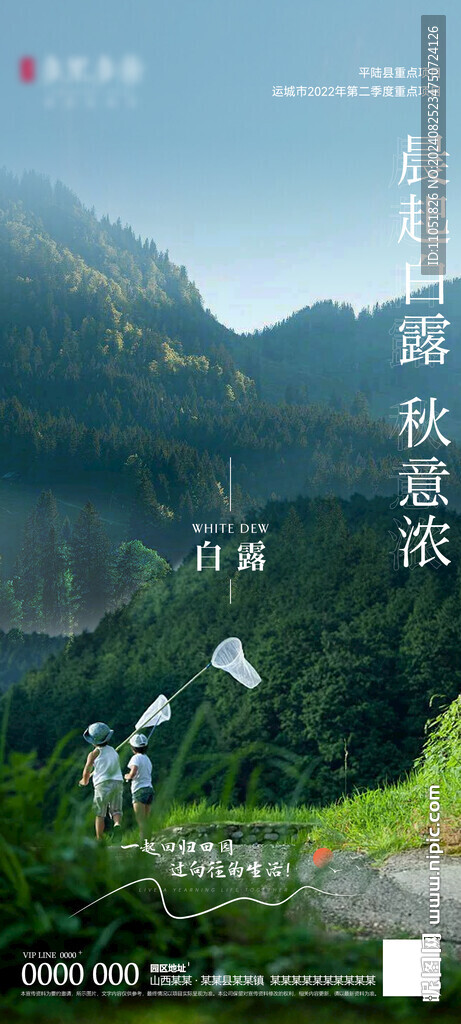 白露 插畫