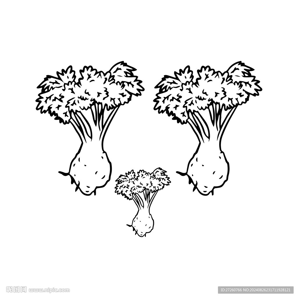 青菜
