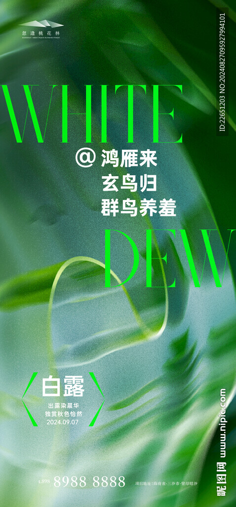 白露