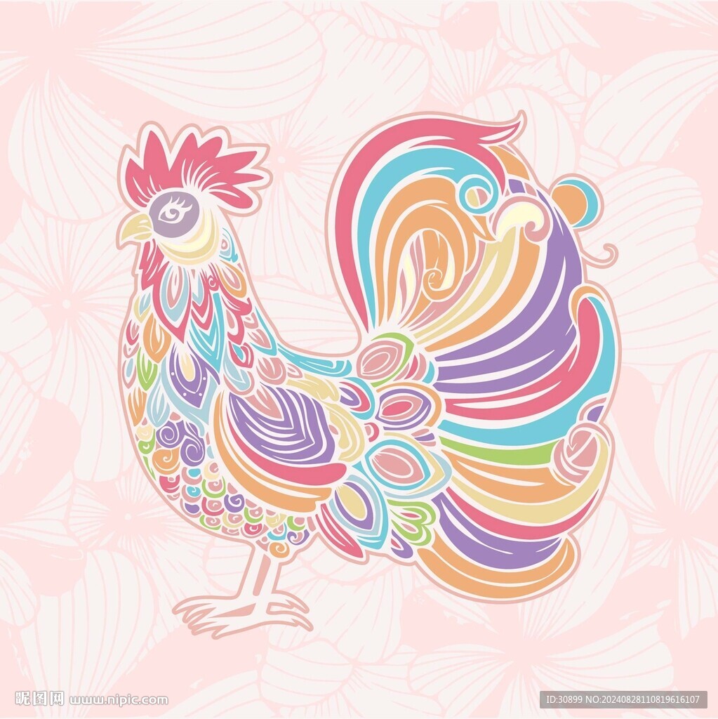 公雞矢量裝飾插畫